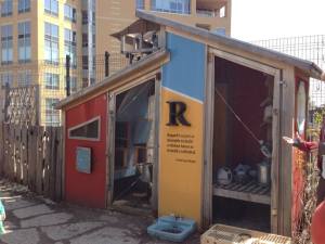 We learned about training pigeons to fly away and return and how they were used as messengers