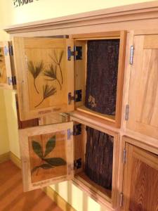 touch the bark, see the leaves, read about the tree