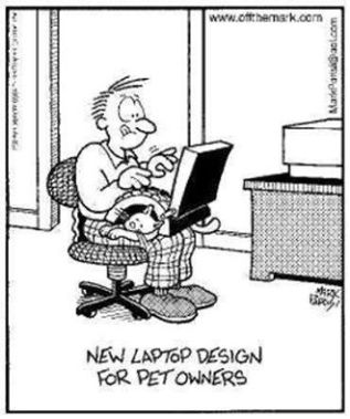 lap top for pet owners_n