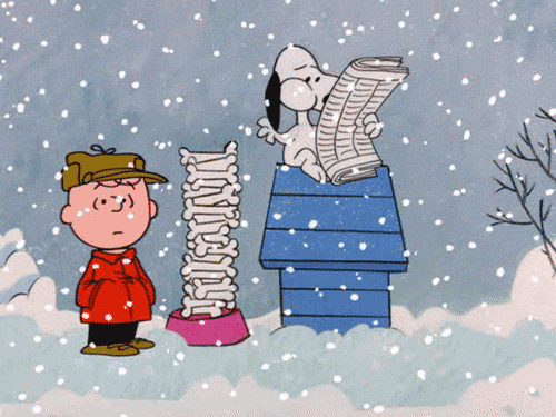 Image_snoopy1bird1santa1christmas1gif1animation1animated1snow1dance1hat1eat1linus1charlie brown1winter1music (2)